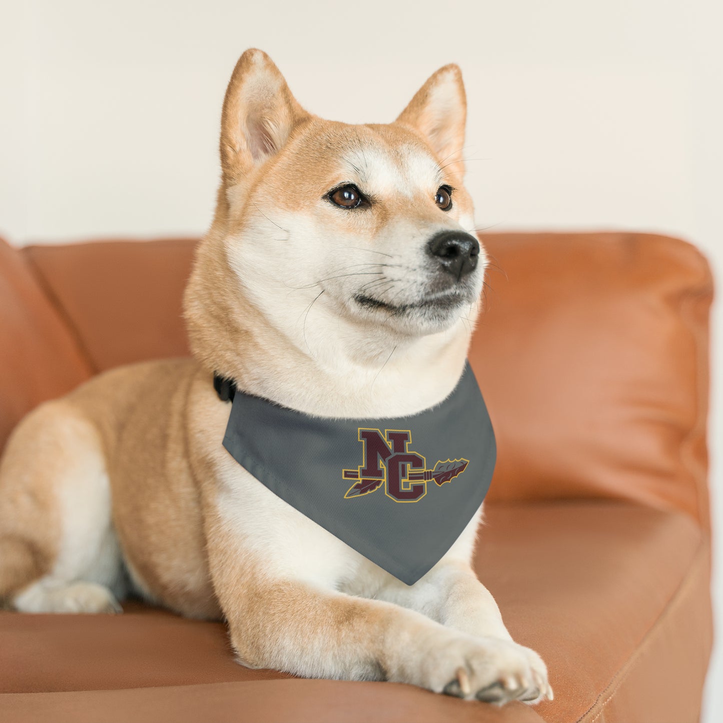 NCHS Pet Bandana Collar