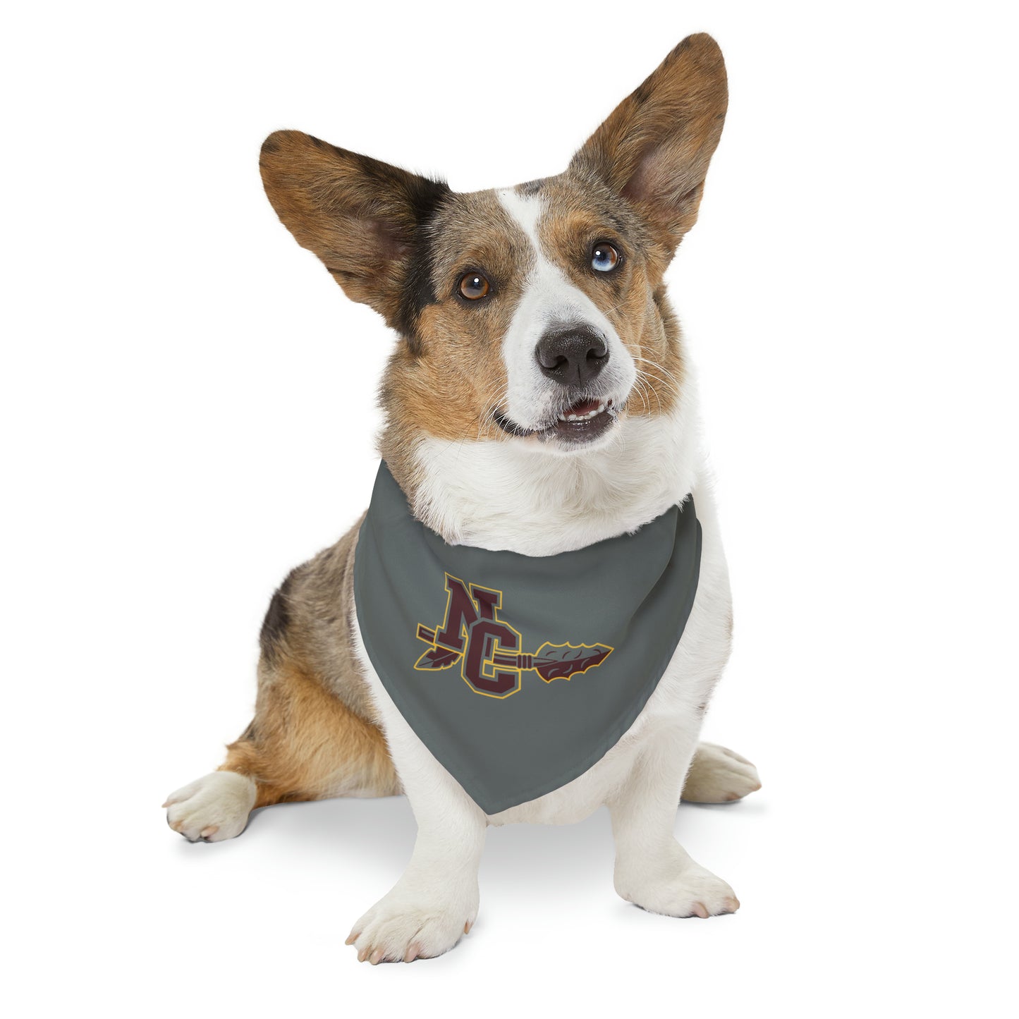 NCHS Pet Bandana Collar