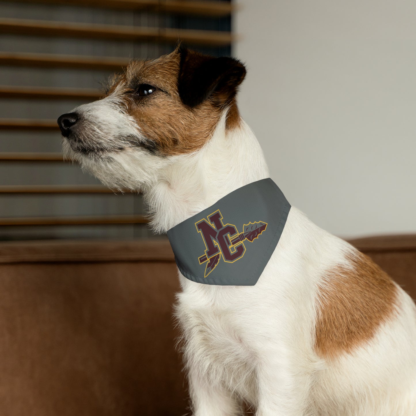 NCHS Pet Bandana Collar