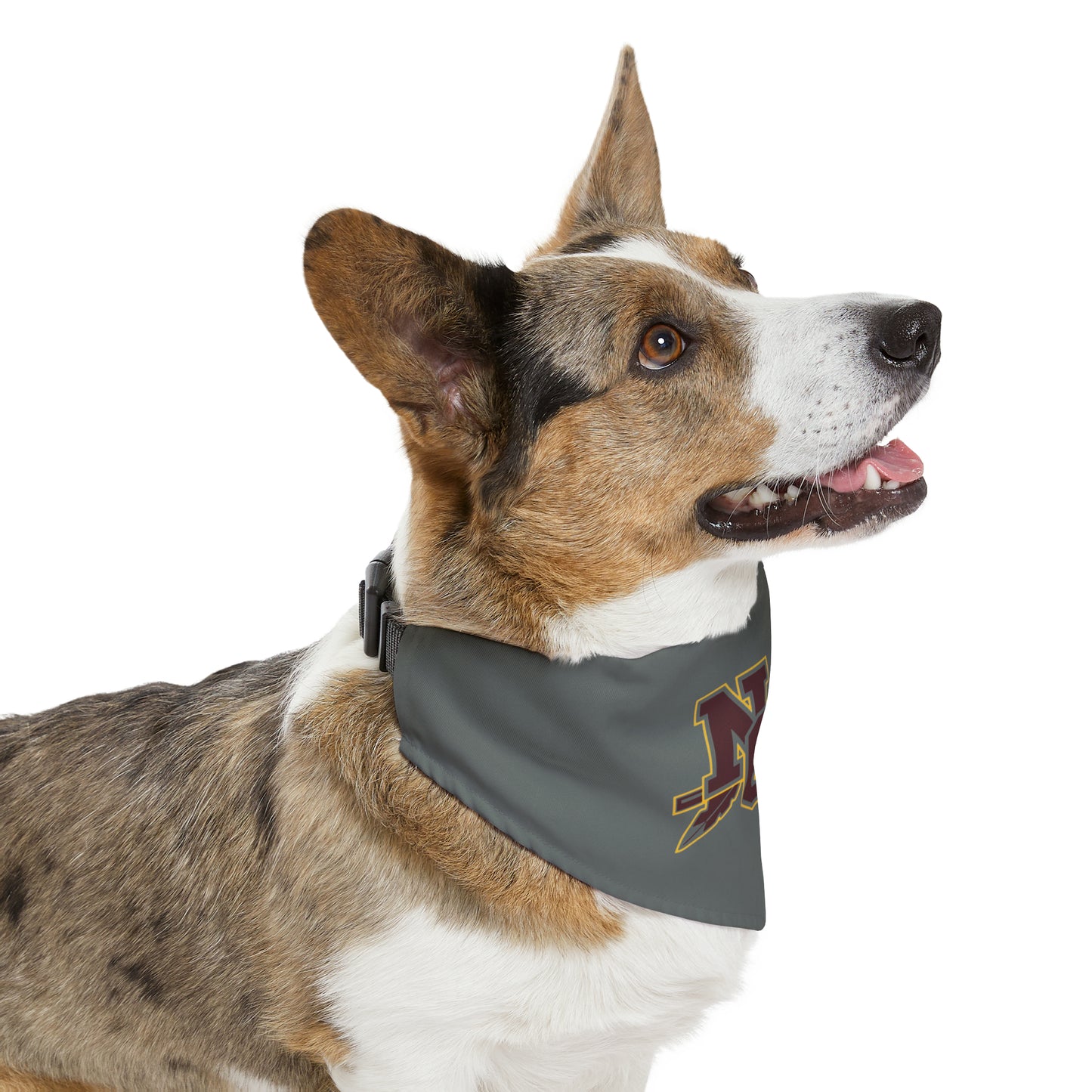 NCHS Pet Bandana Collar