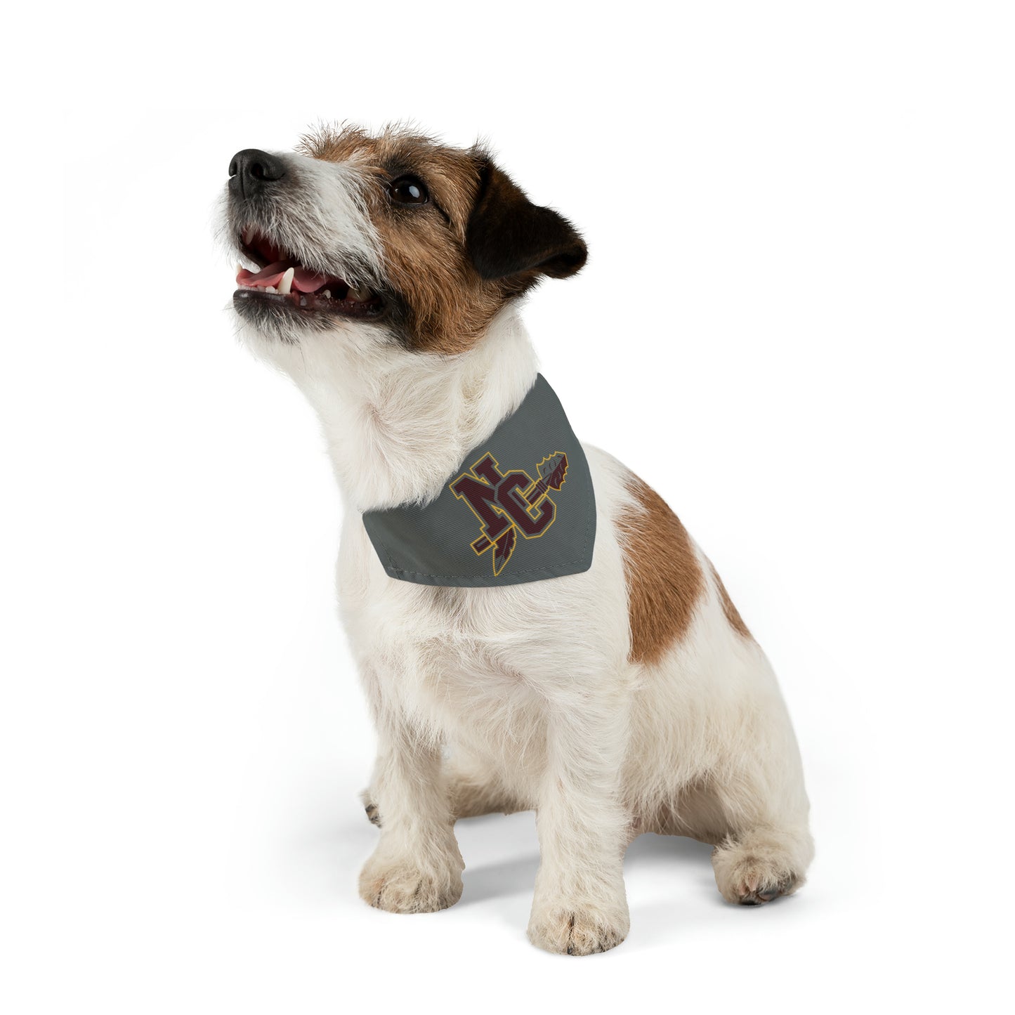 NCHS Pet Bandana Collar