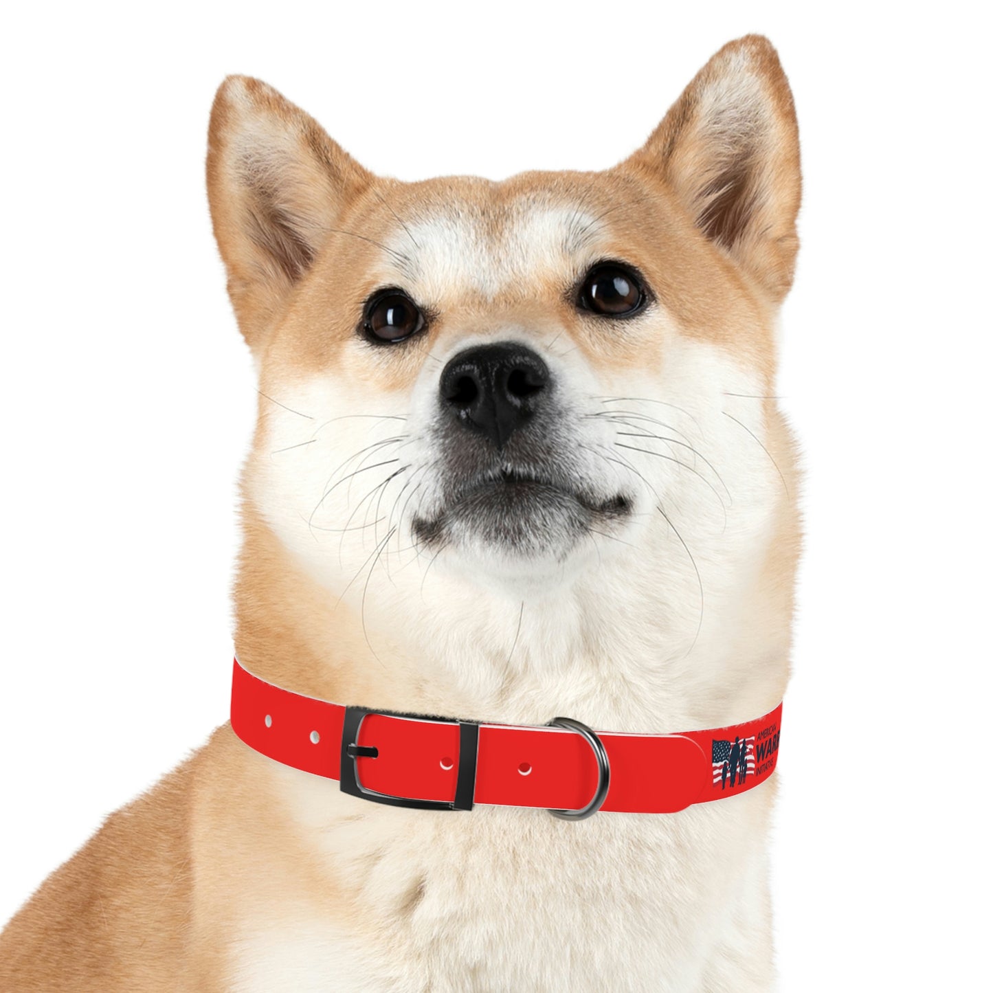 AWI Dog Collar