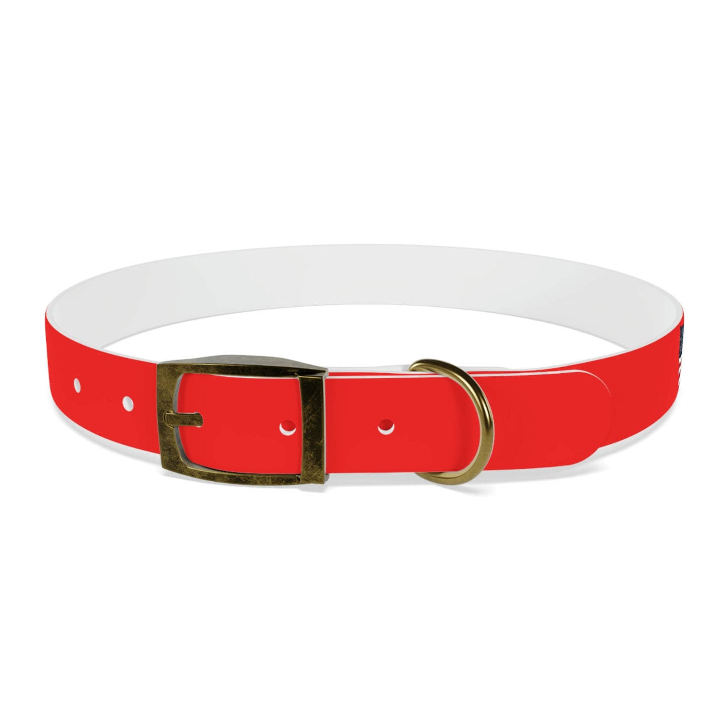 AWI Dog Collar