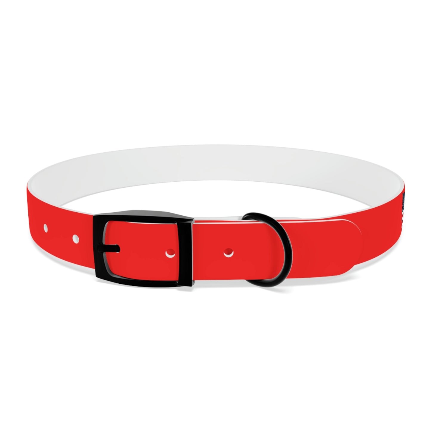 AWI Dog Collar