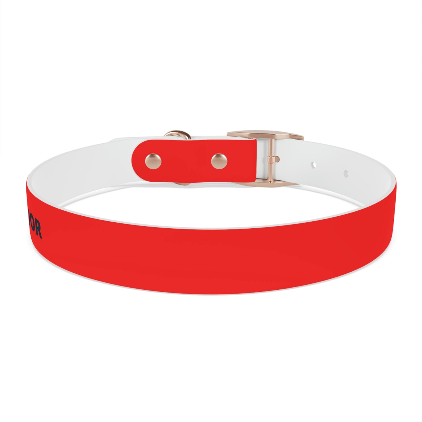 AWI Dog Collar