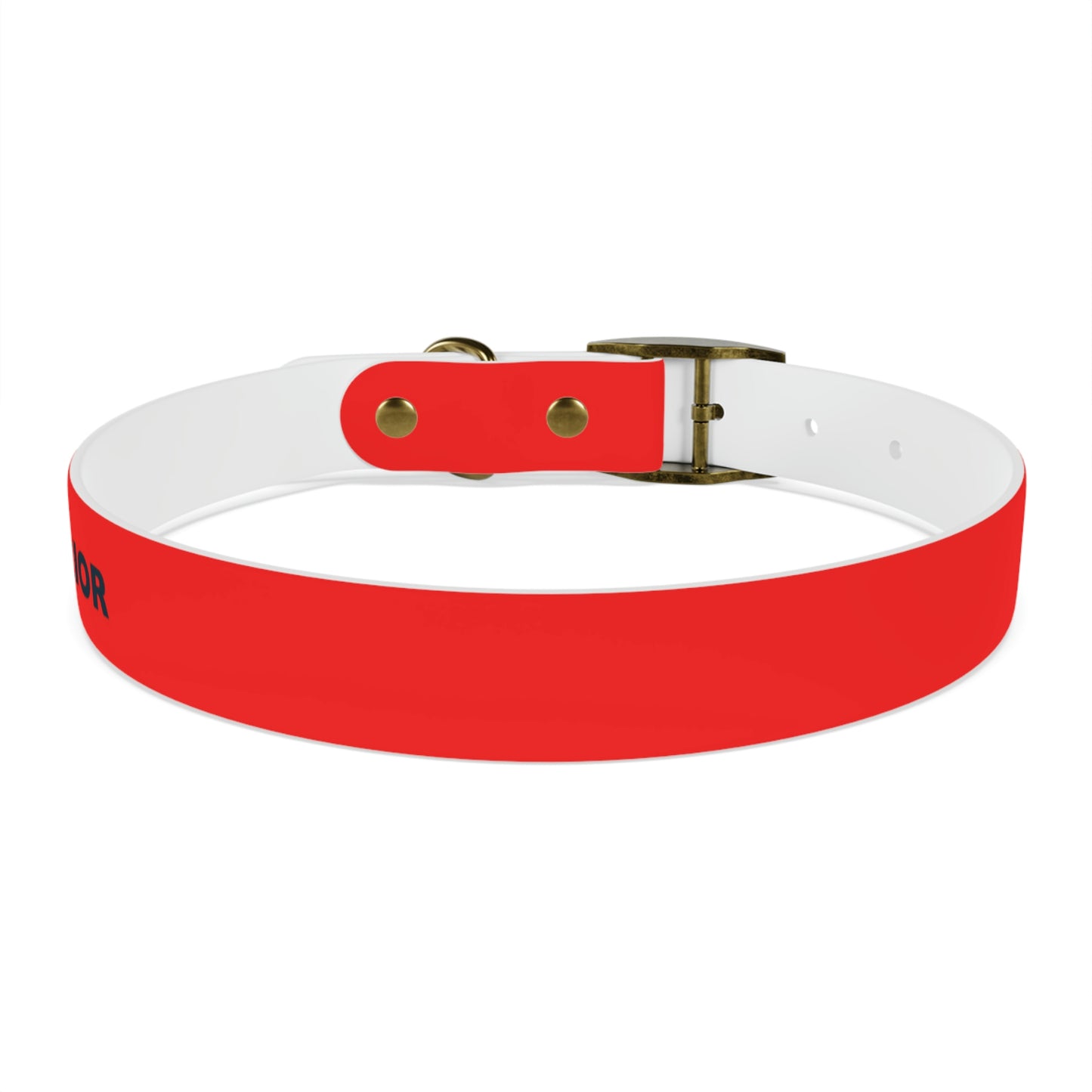 AWI Dog Collar