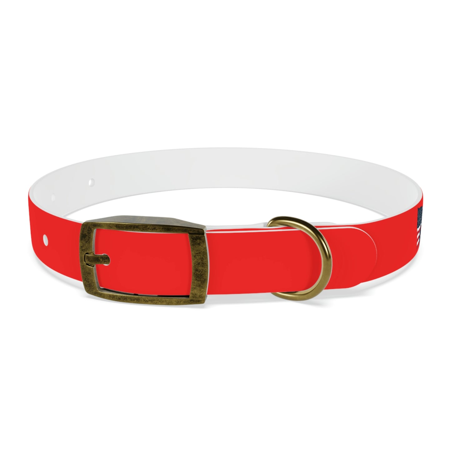 AWI Dog Collar