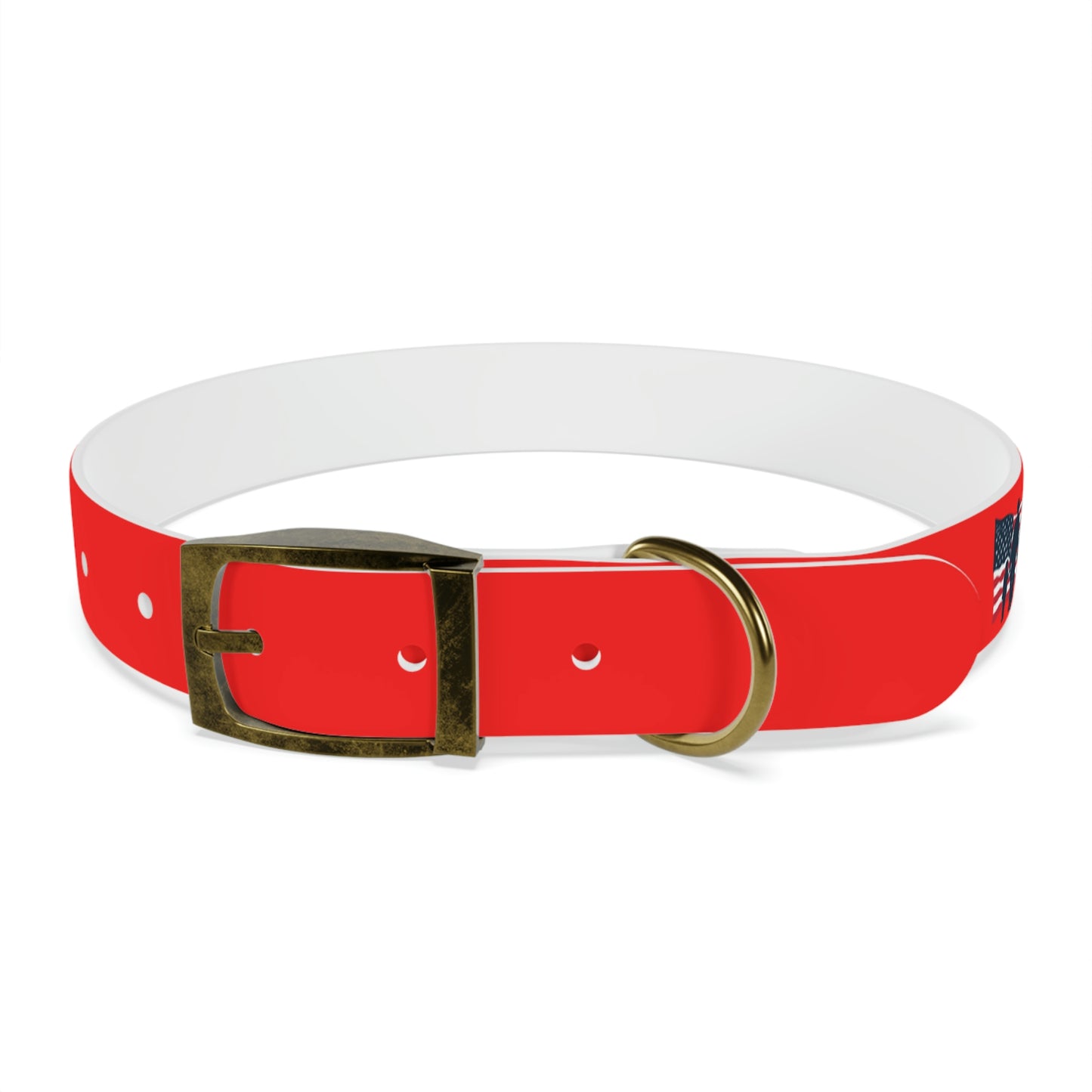 AWI Dog Collar