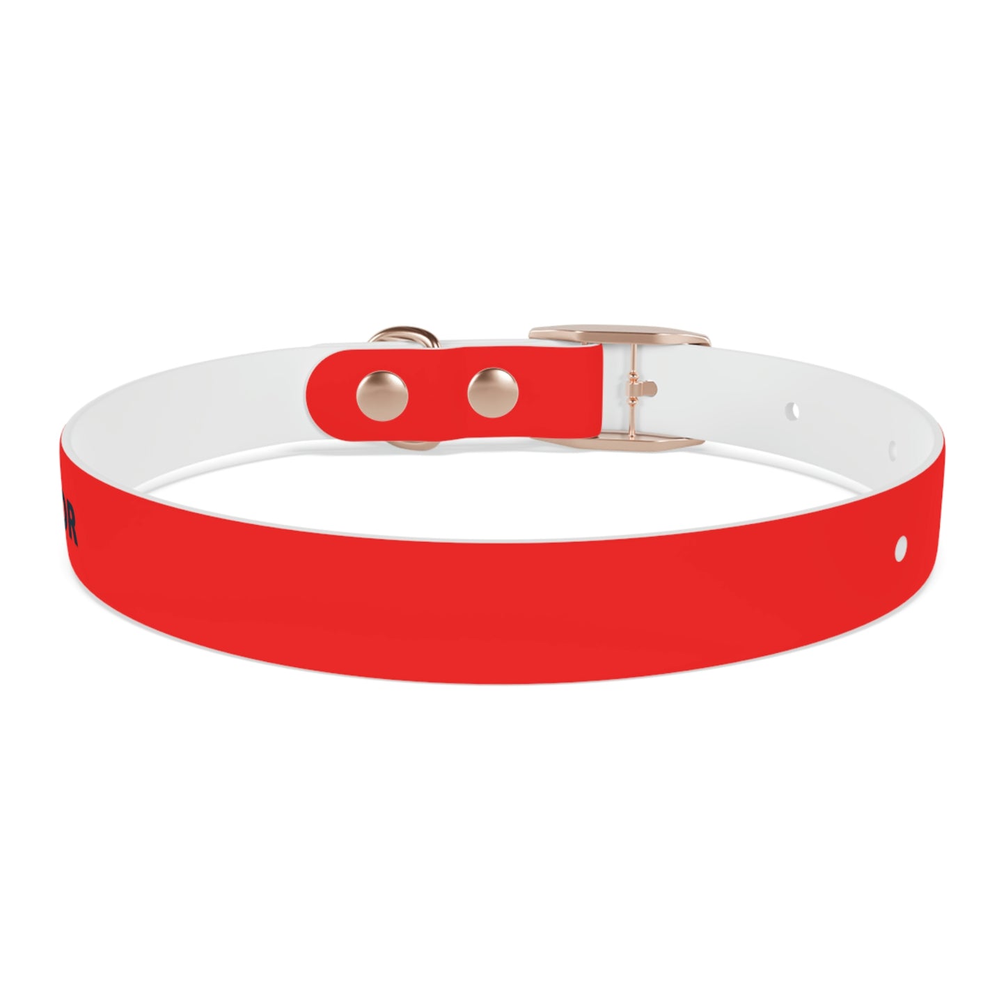 AWI Dog Collar