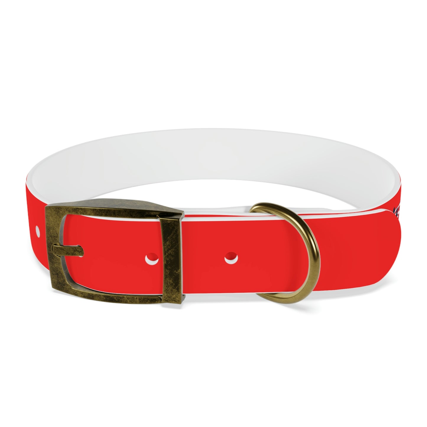 AWI Dog Collar