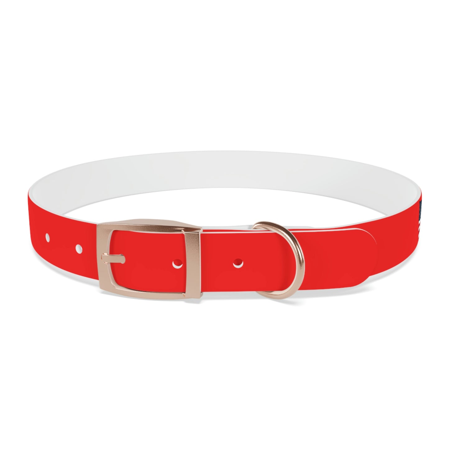 AWI Dog Collar