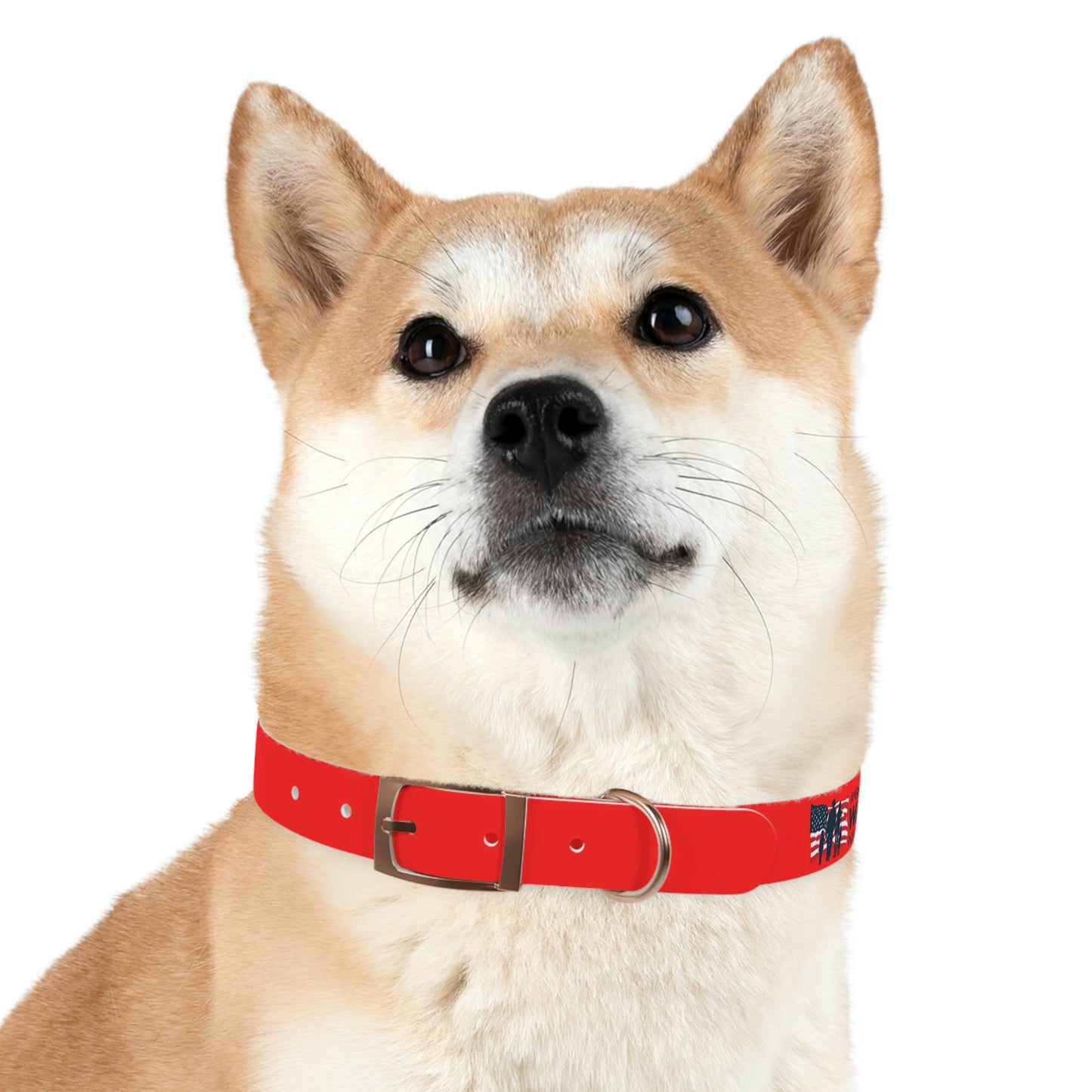 AWI Dog Collar