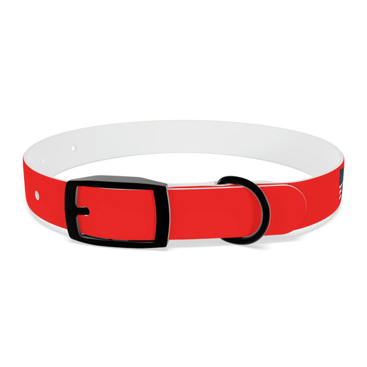 AWI Dog Collar