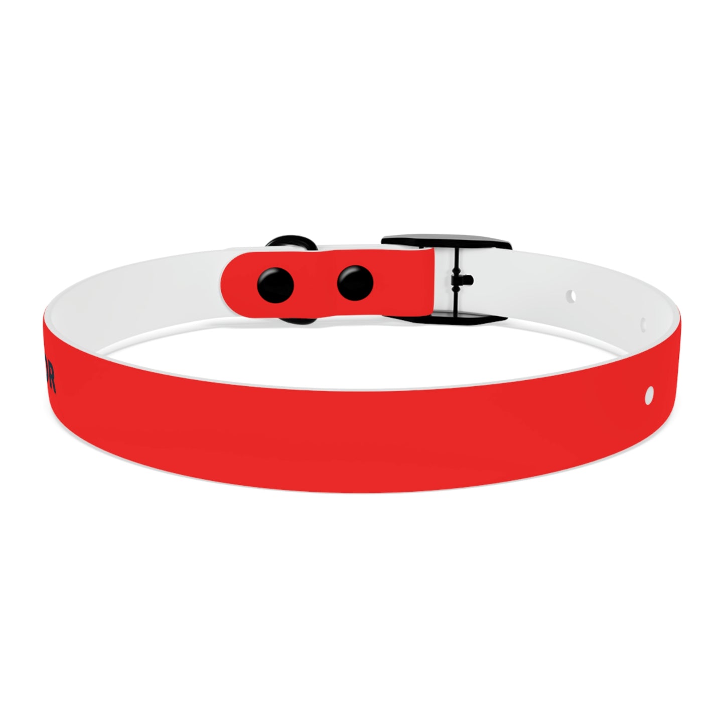 AWI Dog Collar