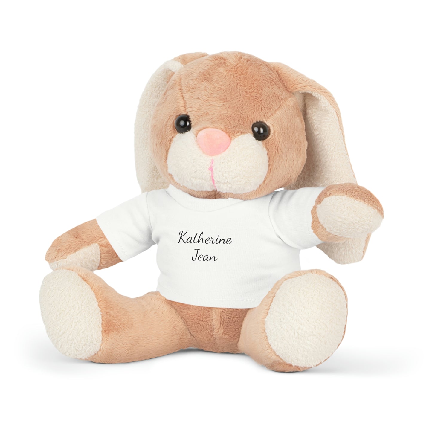 CUSTOM Plush Toy with T-Shirt