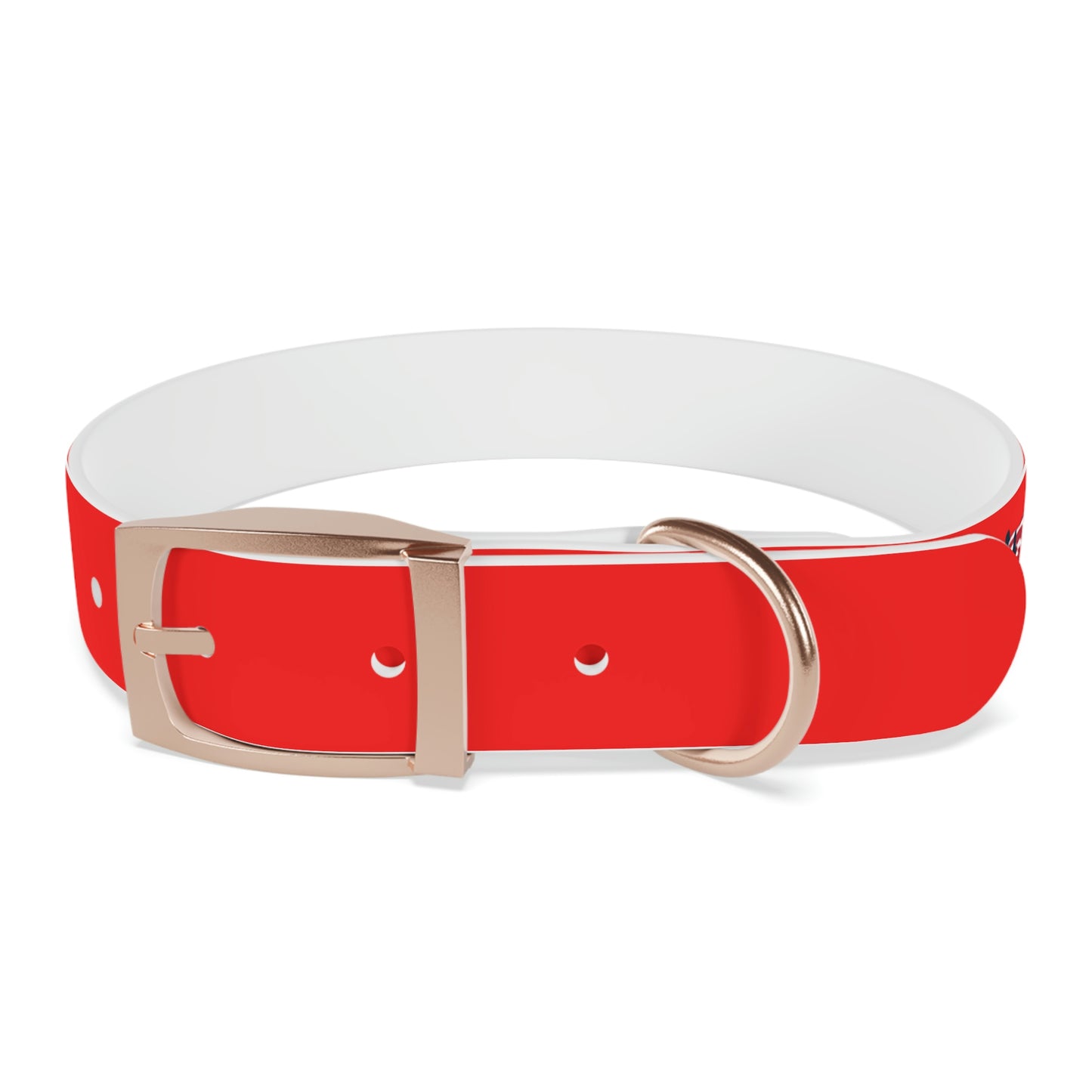 AWI Dog Collar