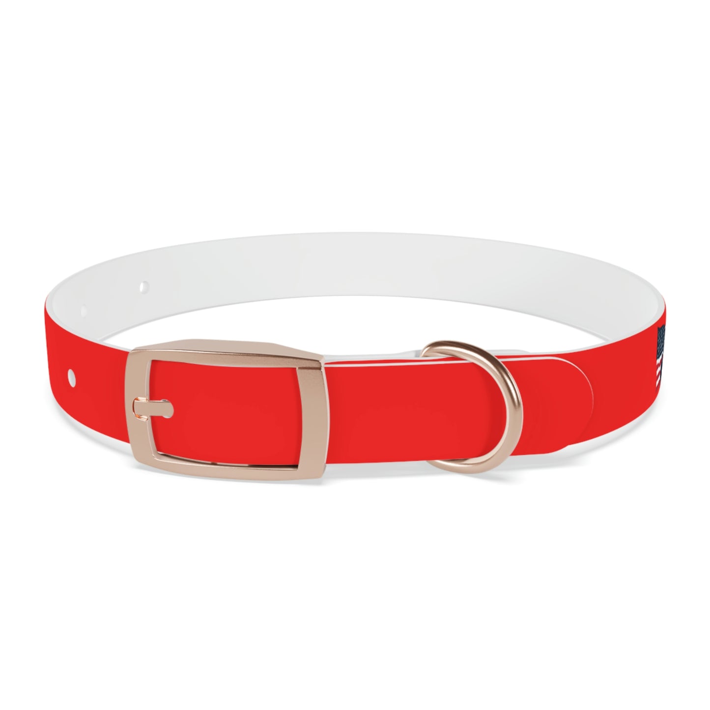 AWI Dog Collar