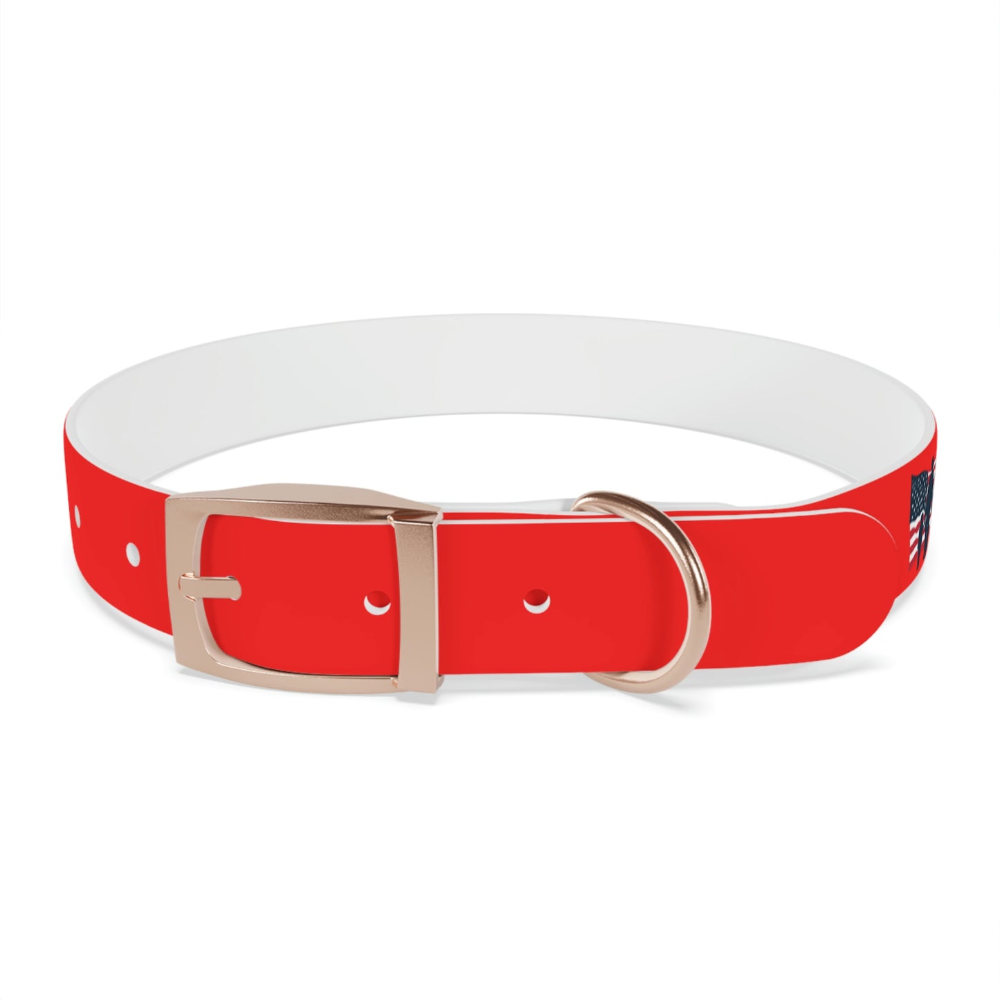 AWI Dog Collar